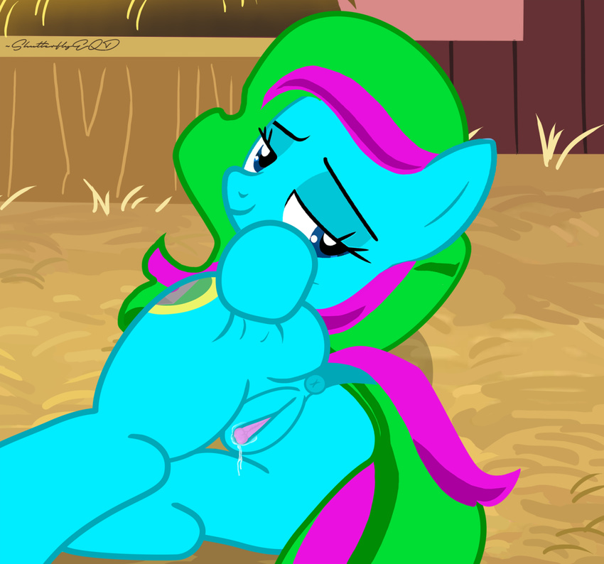 2015 anus butt clitoris earth_pony equine fan_character female feral horse mammal my_little_pony pony pussy shutterflyeqd wet_pussy