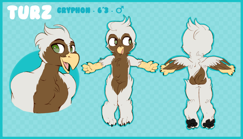 avian beak brown_fur chibi claws digitigrade feet fur green_eyes gryphon looking_at_viewer male model_sheet open_mouth open_wings solo turz white_fur wings zippers