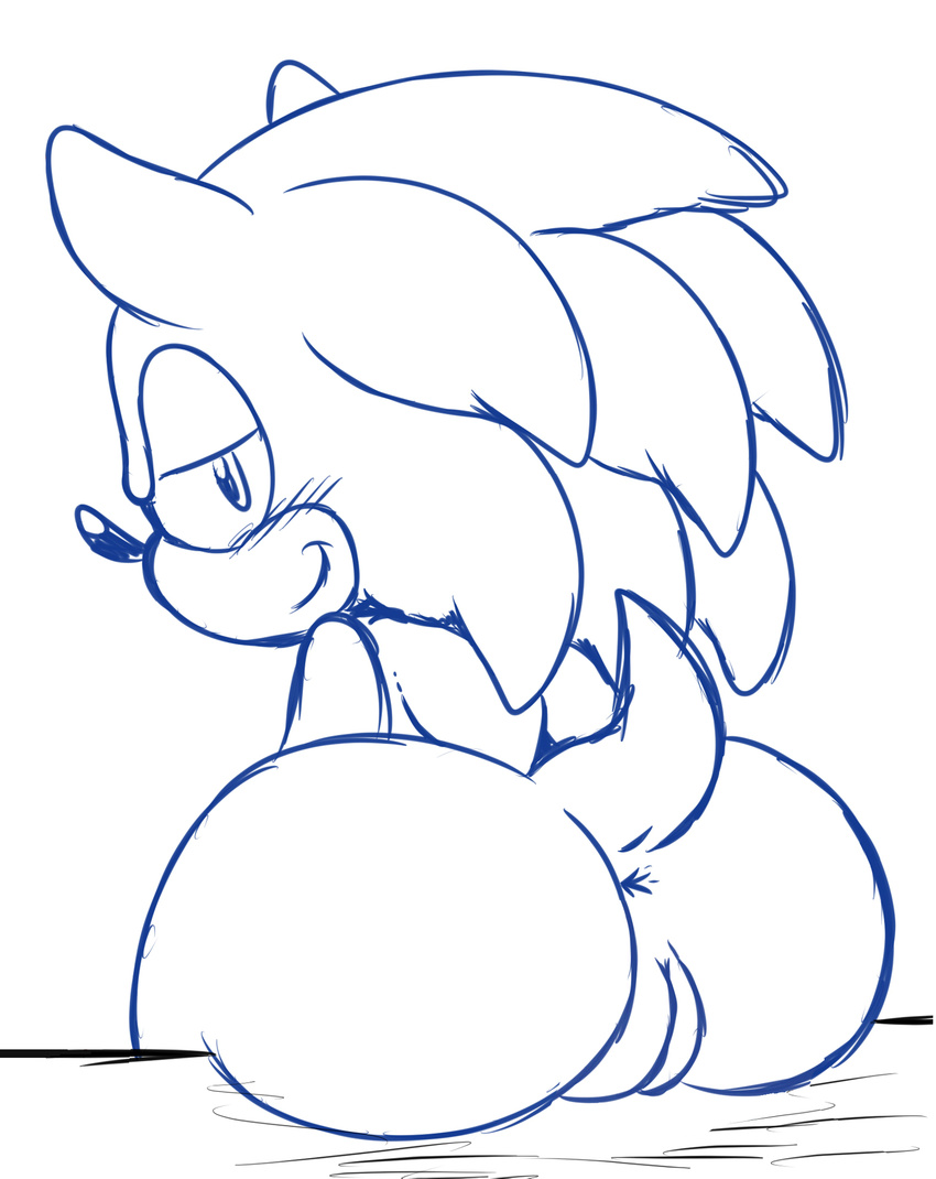 2015 anthro big_butt butt crossgender exhibitionism female fur hedgehog hi_res mammal nude outside public rodent smile solo sonic_(series) sonic_the_hedgehog spice5400 video_games wide_hips