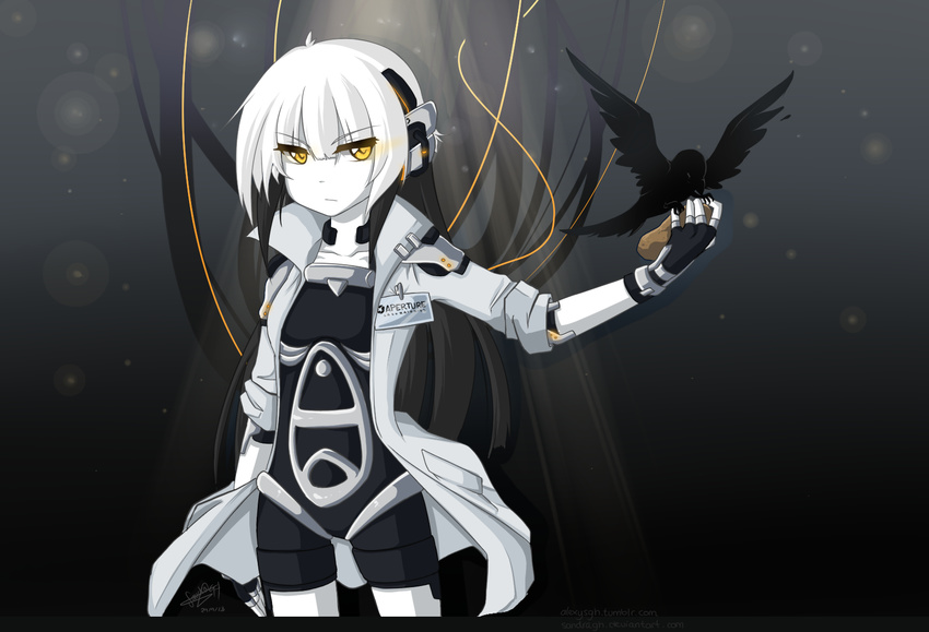 &gt;:( bird black_hair crow epaulettes expressionless fingerless_gloves frown glados gloves glowing glowing_eyes highres labcoat long_hair looking_at_viewer mecha_musume multicolored_hair pale_skin personification portal portal_(series) portal_2 potato sandragh serious shorts solo two-tone_hair v-shaped_eyebrows very_long_hair white_hair wire yellow_eyes