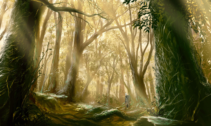 1boy absurdres forest ginko highres landscape light_rays male_focus mushishi nature scenery solo sunbeam sunlight tree