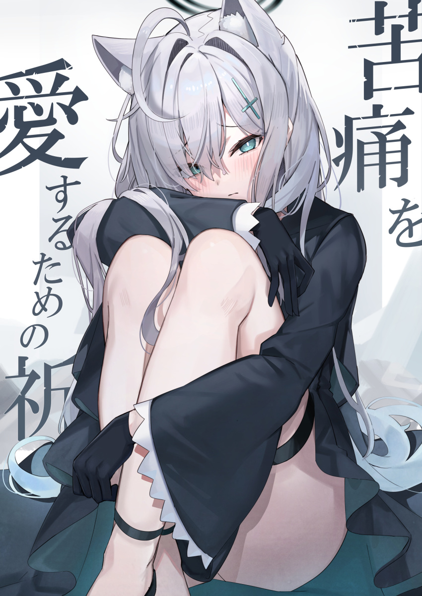 1girl absurdres ahoge animal_ears ass black_dress black_gloves blue_archive blue_eyes blush closed_mouth cover cover_page cross_hair_ornament dark_halo doujin_cover dress extra_ears gloves grey_hair hair_ornament halo highres kuroshiro_kanae long_hair long_sleeves looking_at_viewer shiroko_(blue_archive) shiroko_terror_(blue_archive) solo wolf_ears