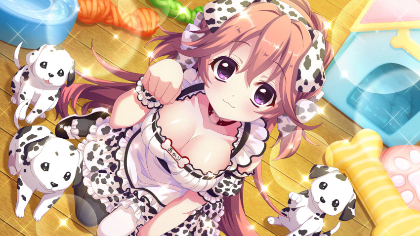 1girl :3 asymmetrical_legwear black_footwear black_pantyhose bow bowl breasts brown_collar cartoon_bone chew_toy cleavage closed_mouth collar dalmatian dalmatian_print detached_sleeves dog dot_nose dress dutch_angle film_grain from_above game_cg haeno_akari hair_bow hairband indoors izumi_tsubasu large_breasts lens_flare long_hair looking_at_viewer maid mismatched_legwear name_tag non-web_source official_art on_floor pantyhose paw_pose pet_bowl pink_hair print_bow print_hairband print_scrunchie print_skirt print_sleeves puppy purple_eyes re:stage! scrunchie shoes short_sleeves single_detached_sleeve sitting skirt smile solo sparkle translated two_side_up unconventional_maid wariza white_dress white_pantyhose wooden_floor