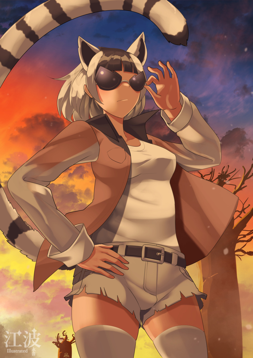 1girl absurdres belt black_hair grey_hair highres jacket kawanami_eito kemono_friends kemono_friends_3 kneehighs lemur_ears lemur_girl lemur_tail multicolored_hair nature outdoors ring-tailed_lemur_(kemono_friends) shirt short_hair shorts socks solo sunglasses sunset two-tone_hair