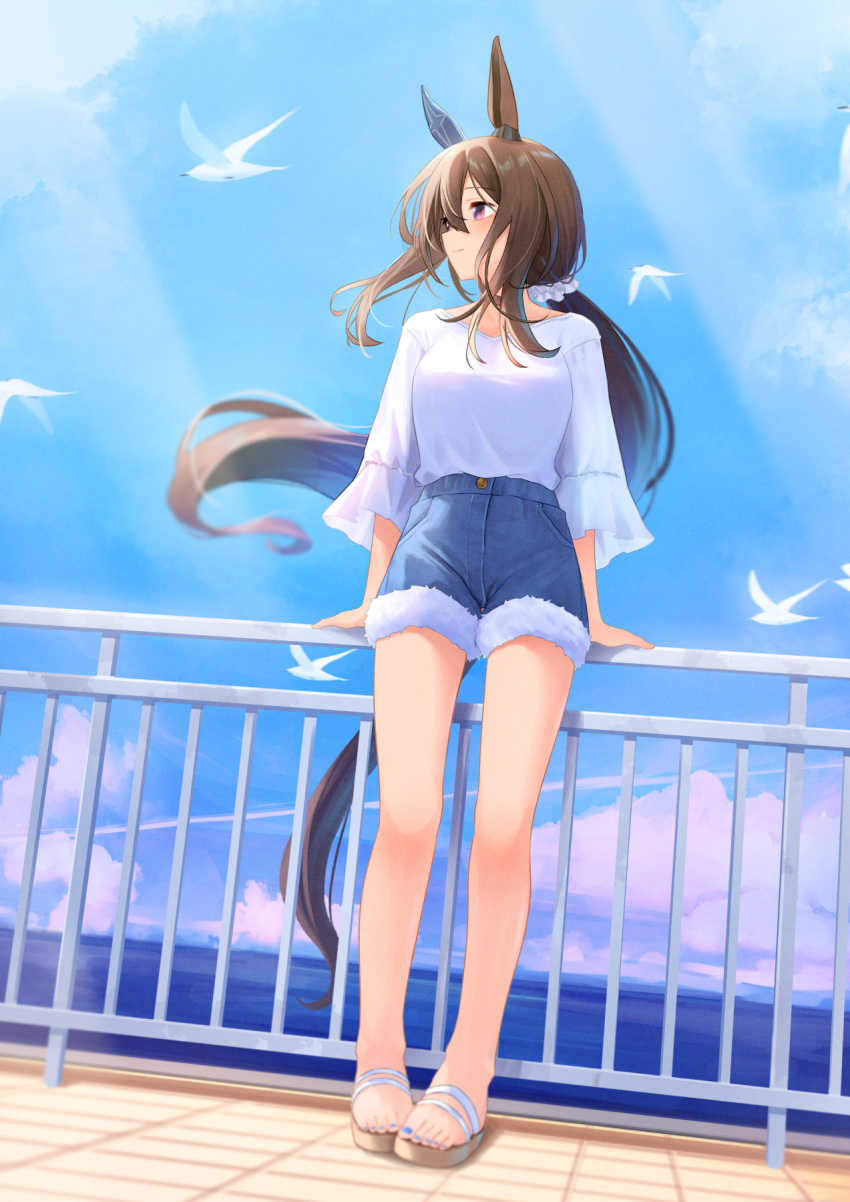 1girl admire_vega_(umamusume) animal_ears bird blue_shorts blurry blush breasts brown_hair closed_mouth cloud contrail depth_of_field full_body hair_between_eyes hair_ornament hair_scrunchie hair_tie highres horizon horse_ears horse_girl horse_tail katuko_deluxe legs long_hair long_sleeves looking_to_the_side low_ponytail nail_polish outdoors pink_eyes railing sandals scrunchie seagull shirt shirt_tucked_in shorts sideways_mouth small_breasts smile solo standing sunlight tail toenail_polish toenails toes umamusume water white_shirt