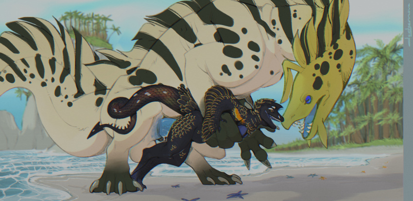 anthro anthro_on_feral anthro_penetrated avian beach bestiality blue_penis cockatrice dodgernova dragon duo eel european_mythology feathers female feral feral_penetrating feral_penetrating_anthro feral_penetrating_female fish genitals hi_res hybrid larger_feral larger_male male male/female marine mythological_avian mythology outside penetration penis scalie seaside sex size_difference smaller_anthro smaller_female striped_body stripes
