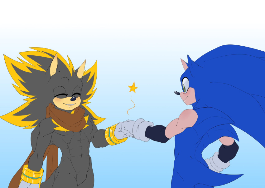 anthro duo eulipotyphlan fist_bump gesture hedgehog hi_res male mammal mike_the_hedgehog_(character) mobian_hedgehog muscular muscular_anthro niranna sega sonic_the_hedgehog sonic_the_hedgehog_(series)