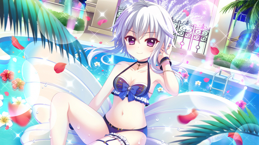 1girl ahoge bikini blue_bikini blue_bow blue_wrist_cuffs bow bracelet breasts bridal_garter cleavage closed_mouth collarbone dot_nose dutch_angle film_grain flower game_cg grey_hair groin hand_in_own_hair hedge hibiscus ichijou_ruka inflatable_raft izumi_tsubasu jewelry lens_flare looking_at_viewer navel necklace night non-web_source official_art outdoors palm_tree pool pool_ladder purple_eyes re:stage! red_flower short_hair_with_long_locks sitting small_breasts smile solo sparkle swimsuit tree white_flower wrist_cuffs