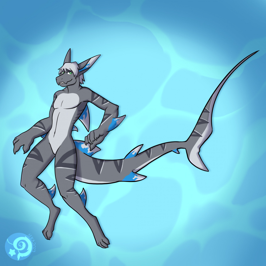 anthro bow_(bowhuskers) currypuppy fin fish green_eyes grey_body grey_skin hair hi_res long_tail male marine markings shark solo tail tail_markings water