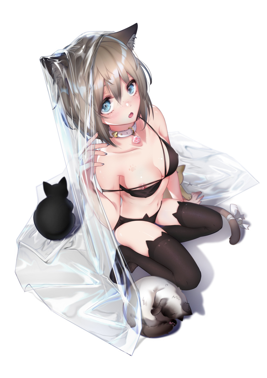 1girl absurdres animal_ear_legwear animal_ears animal_print black_bra black_thighhighs blue_eyes blush bra breasts cat cat_ear_legwear cat_ears cat_girl cat_lingerie cat_panties cat_print cat_tail chestnut_mouth collar commentary_request hair_between_eyes highres lialli light_brown_hair looking_at_viewer looking_up medium_breasts meme_attire navel nipple_slip nipples open_mouth original panties print_panties ribbon short_hair sitting slit_pupils solo strap_slip tail tail_ornament tail_ribbon thighhighs transparent underwear white_background white_collar