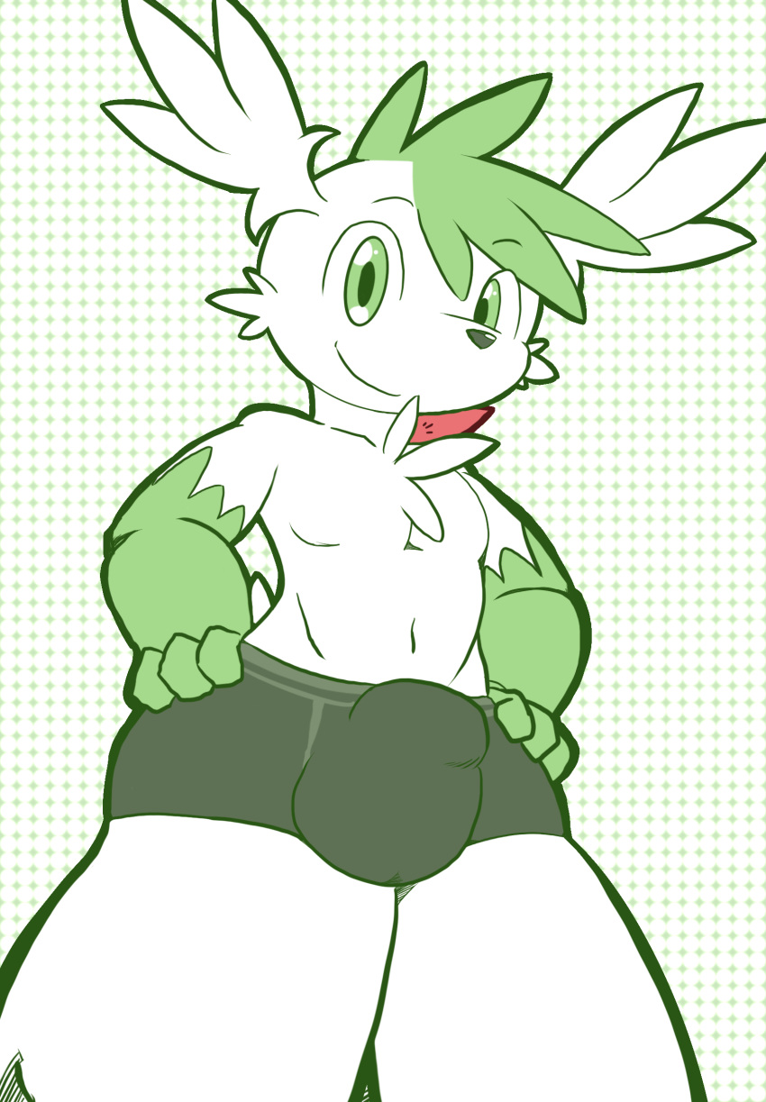 anthro boxers_(clothing) clothing generation_4_pokemon hi_res legendary_pokemon male nintendo pokemon pokemon_(species) shaymin sky_forme_shaymin solo tail tomotomo15 underwear