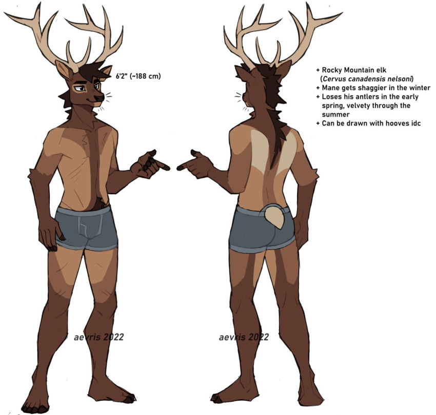 5_fingers aevris anthro antlers biped brown_body brown_fur cervine clothed clothing deer elk english_text fingers fur hi_res horn male mammal model_sheet ryker_(aevris) solo tail text topless topless_anthro topless_male underwear underwear_only