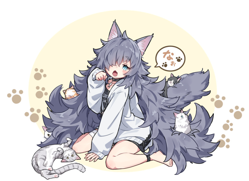 1girl animal animal_ear_fluff animal_ears barefoot black_choker black_shirt blue_eyes brown_background cat cat_ears choker collarbone commentary_request fang grey_hair hair_over_one_eye hand_up hood hood_down hooded_jacket jacket kazana_(sakuto) long_sleeves looking_at_viewer open_mouth original paw_pose puffy_long_sleeves puffy_sleeves shirt sitting sleeves_past_wrists solo thick_eyebrows translation_request two-tone_background wariza white_background white_cat white_jacket