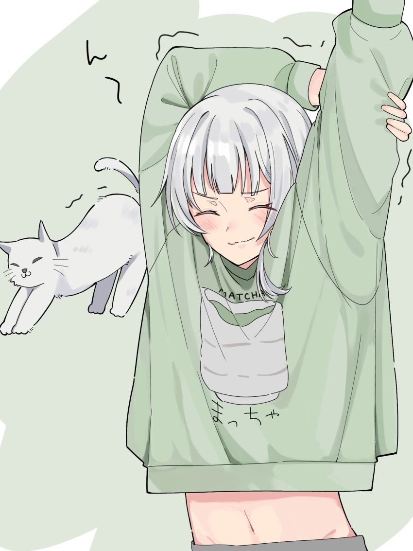 1girl arms_up bang_dream! bang_dream!_it's_mygo!!!!! blush cat closed_eyes closed_mouth commentary_request green_background green_sweater highres kaname_raana midriff nanami_(nunnun_0410) navel solo stretching sweater trembling upper_body white_cat white_hair
