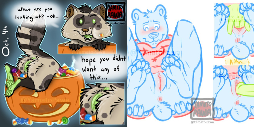 anthro anus bear black_bear blush bottomless candy clothed clothing dessert eating_candy feral fingering food ftm genitals halloween holidays hoodie jack-o'-lantern male mammal naive paws penetration procyonid pussy raccoon solo topwear trans ursine vaginal vaginal_fingering yamato_burr yamatopawa