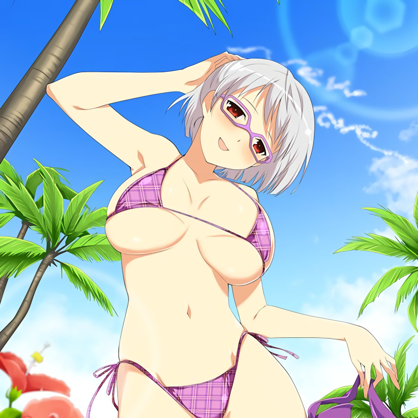 air_writing arm_behind_head bikini blunt_ends blush breasts collarbone contrail cowboy_shot flower from_below glasses grey_hair groin hibiscus highres holding holding_ribbon kisaragi_(senran_kagura) large_breasts lens_flare micro_bikini navel official_art open_mouth palm_leaf palm_tree plaid plaid_bikini plaid_bikini_bottom plaid_bikini_top plant purple-framed_eyewear purple_bikini purple_ribbon red_eyes ribbon senran_kagura senran_kagura_new_wave short_hair side-tie_bikini_bottom skindentation smile standing swept_bangs swimsuit tree yaegashi_nan