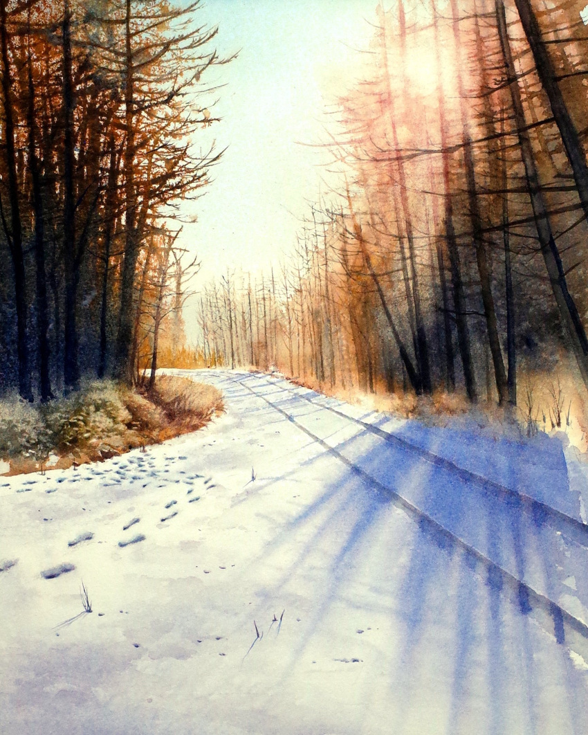 bare_tree bush day dead_plants forest highres nature no_humans original painting_(medium) plant railroad_tracks scenery shadow shimizu_megumi_(m_acquerello) snow stick sunlight traditional_media tree watercolor_(medium)