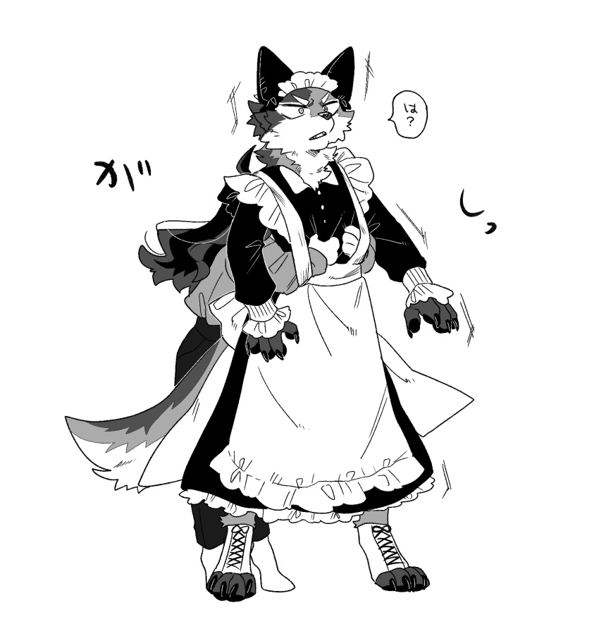 1boy 1girl animal_ears animal_feet animal_hands apron back_bow body_fur bow claws collared_dress dress full_body greyscale height_difference highres hug hug_from_behind long_hair long_sleeves maid maid_apron maid_headdress monochrome open_mouth original pants rata_(norahasu) simple_background speech_bubble standing tail tiptoes translation_request white_background wolf_boy wolf_ears wolf_tail