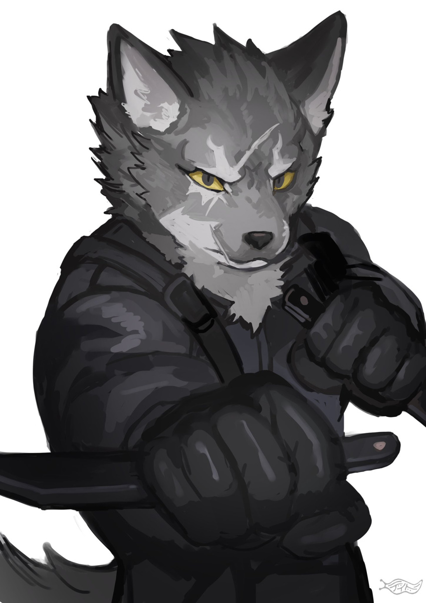 1boy animal_ears arknights artist_logo black_gloves black_jacket black_pants blue_eyes buchi0122 colored_sclera commentary_request dual_wielding furry furry_male gambino_(arknights) gloves highres holding holding_knife jacket knife looking_at_viewer male_focus pants scar scar_across_eye tail wolf_boy wolf_ears wolf_tail yellow_sclera