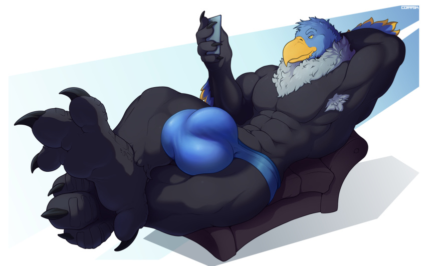 abs accipitrid accipitriform anthro armpit_hair avian beak biceps big_bulge big_feet bird body_hair bulge cellphone chest_tuft claws clothed clothing corrsk detailed_bulge digital_media_(artwork) eagle electronics feathers feet hi_res holding_object huge_bulge male muscular muscular_anthro muscular_male neck_tuft paws pecs phone simple_background smartphone soga solo toes tuft underwear