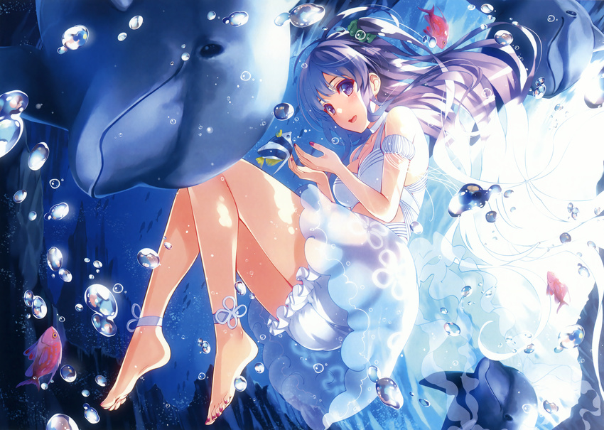 absurdres air_bubble angelfish anklet armband bare_legs bare_shoulders barefoot bikini breasts bubble dolphin dress fish hair_ornament hair_ribbon highres jewelry kuroya_shinobu long_hair looking_at_viewer love_live! love_live!_school_idol_project medium_breasts nail_polish no_legwear open_mouth purple_eyes purple_hair ribbon scan solo sonoda_umi swimsuit toenail_polish underwater white_dress