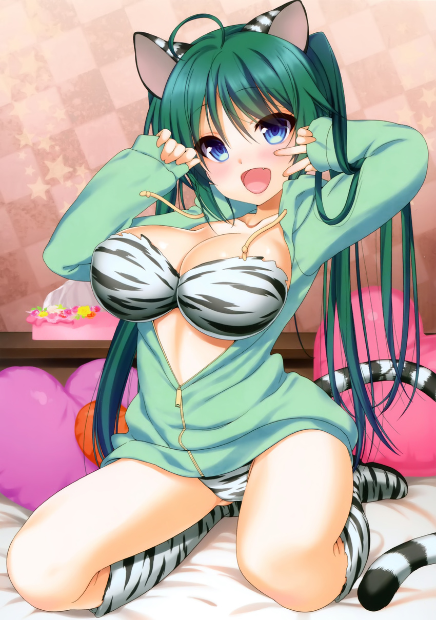 absurdres ahoge animal_ears animal_print bed_sheet blue_eyes blush boots breasts cleavage fang green_hair heart heart_pillow highres hood hoodie knee_boots kneeling large_breasts long_hair nanase_meruchi open_clothes open_hoodie open_mouth pillow scan sleeves_past_wrists smile solo tail tiger_ears tiger_print tiger_tail toranoana twintails v