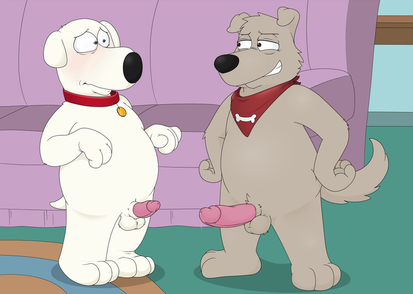 anthro balls brian_griffin canine dog duo erection family_guy male mammal neenya new_brian penis