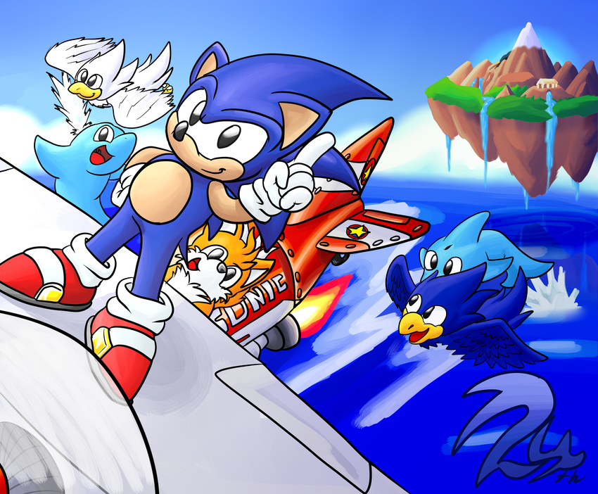 aircraft airplane angel_island avian azuraracon biplane bird cetacean dolphin island mammal marine miles_prower sea sonic_(series) sonic_the_hedgehog video_games water