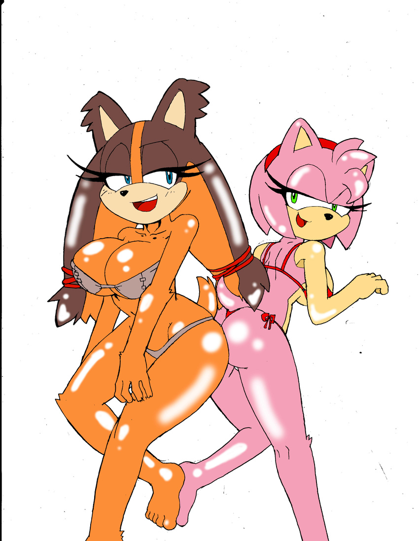 2015 amy_rose anthro badger big_breasts bikini breasts butt cleavage clothed clothing dreamcastzx duo female hedgehog mammal mustelid skimpy sonic_(series) sticks_the_jungle_badger swimsuit