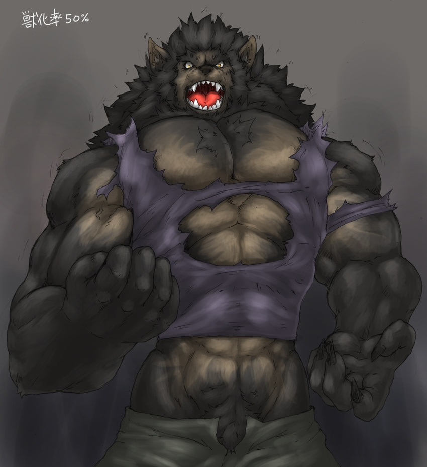 abs angry biceps big_arms big_hands big_muscles black_nose canine captainjohkid claws clothed clothing fangs fist flakjacket0204 fur grey_fur growth half-dressed human male mammal muscle_growth muscles open_mouth pants pecs sequence shirt teeth toned tongue torn_clothing transformation vein were werewolf