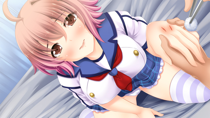 1girl bed blush breasts brown_eyes cotton deep_wound game_cg highres hinata_sora injury large_breasts legs looking_at_viewer nogizaka_saki panties pink_hair sad school_uniform short_hair sitting skirt solo_focus stray_school striped_legwear thighs underwear wounded