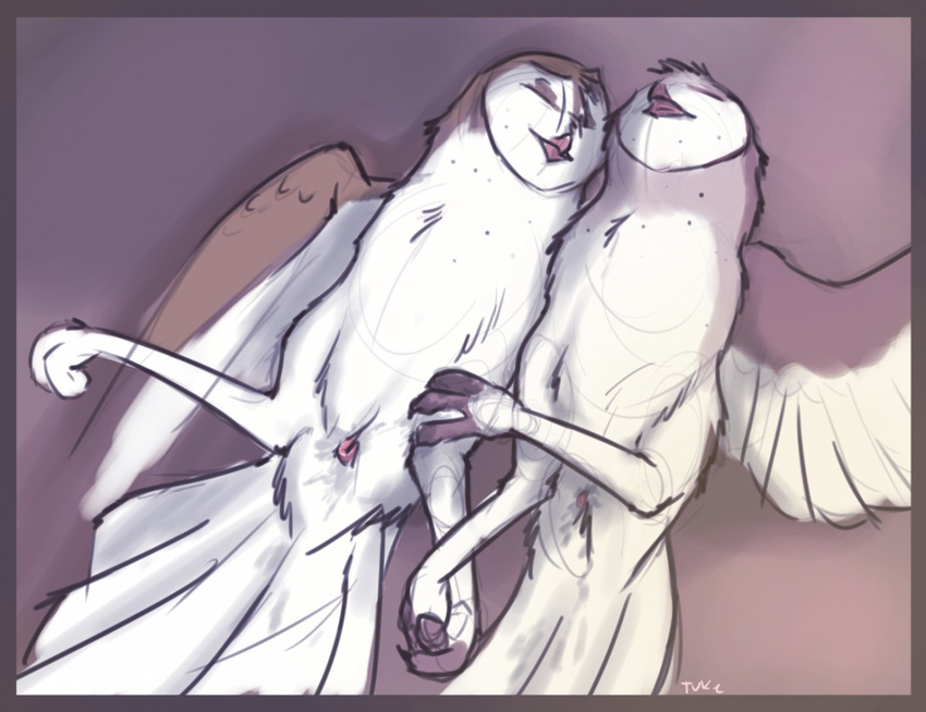 2015 after_sex ambiguous_gender animal_genitalia avian bird cloaca eyes_closed feral lying on_back owl spread_legs spreading tuke wings