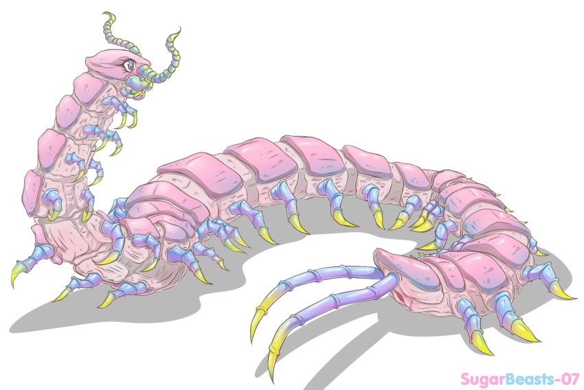 animal_genitalia arthropod centipede cloaca eyelashes female feral heterochromia insect long_body multi_leg multi_limb myriapod simple_background solo vipery-07 white_background