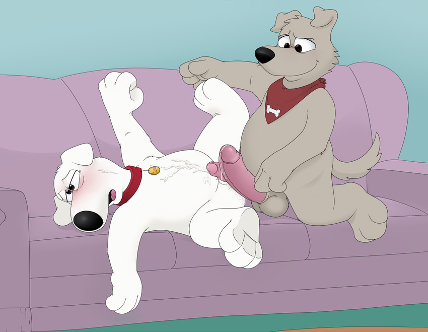 balls blush brian_griffin canine cum cum_on_stomach dog family_guy lying male male/male mammal neenya new_brian open_mouth orgasm penis sofa