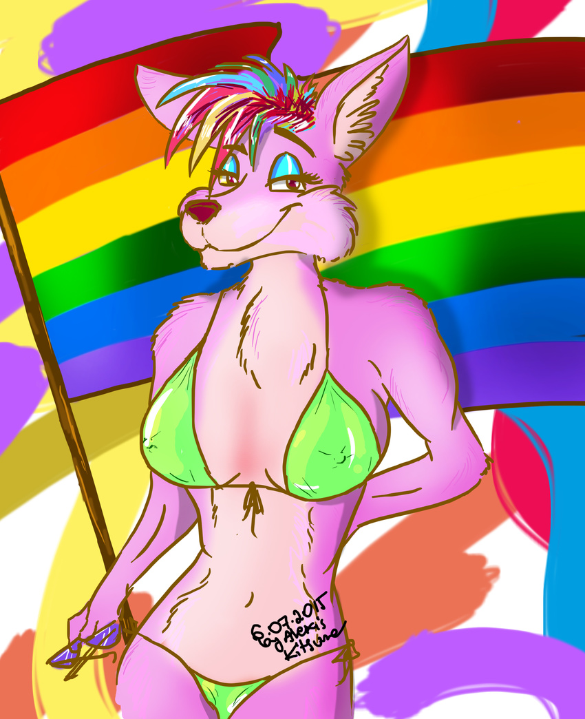 alexis_kitsune bikini breasts canine clothing colorful dog dyed female flag fur gay_marriage hair homo invalid_color lgbt looking_at_viewer male male/male mammal nipples pride swimsuit