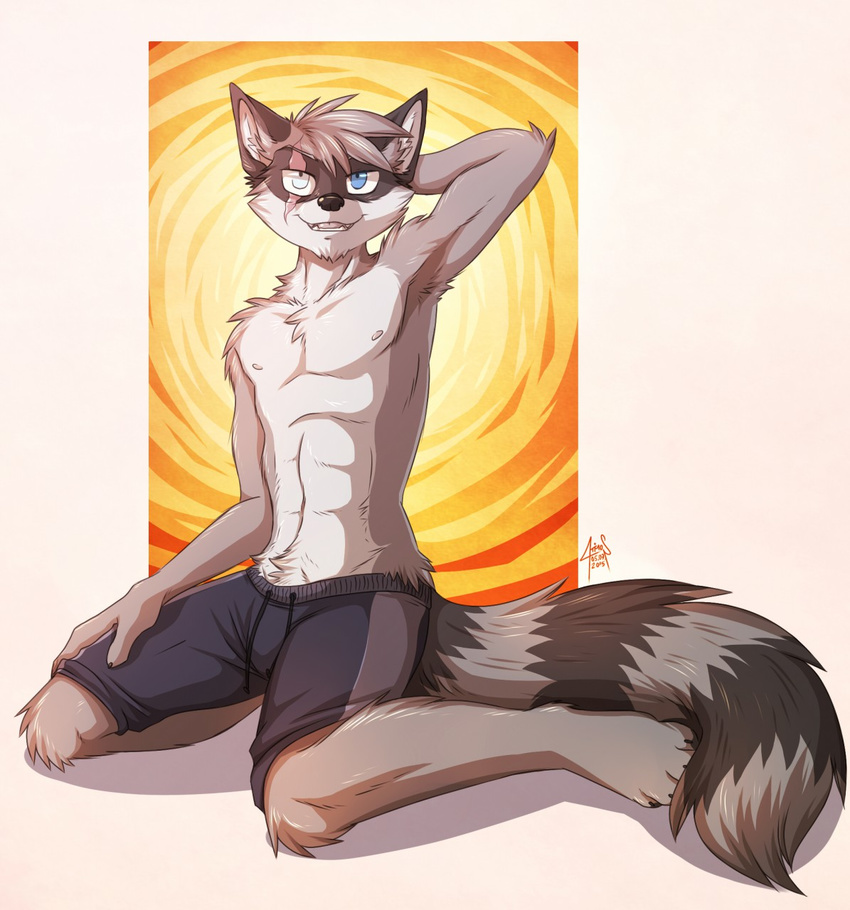 abs biceps chest_tuft clothing fur gothwolf male mammal muscles nipples pecs raccoon scar swimsuit tuft zapher