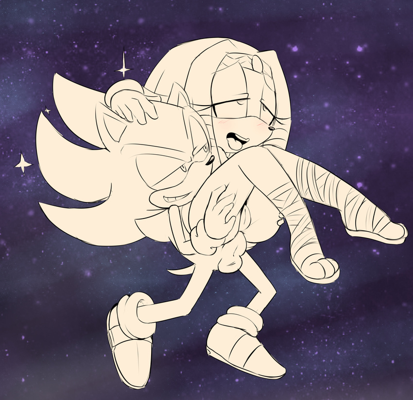 anal hearlesssoul sonic_(series) sonic_(sonic) super_sonic tikal_the_echidna