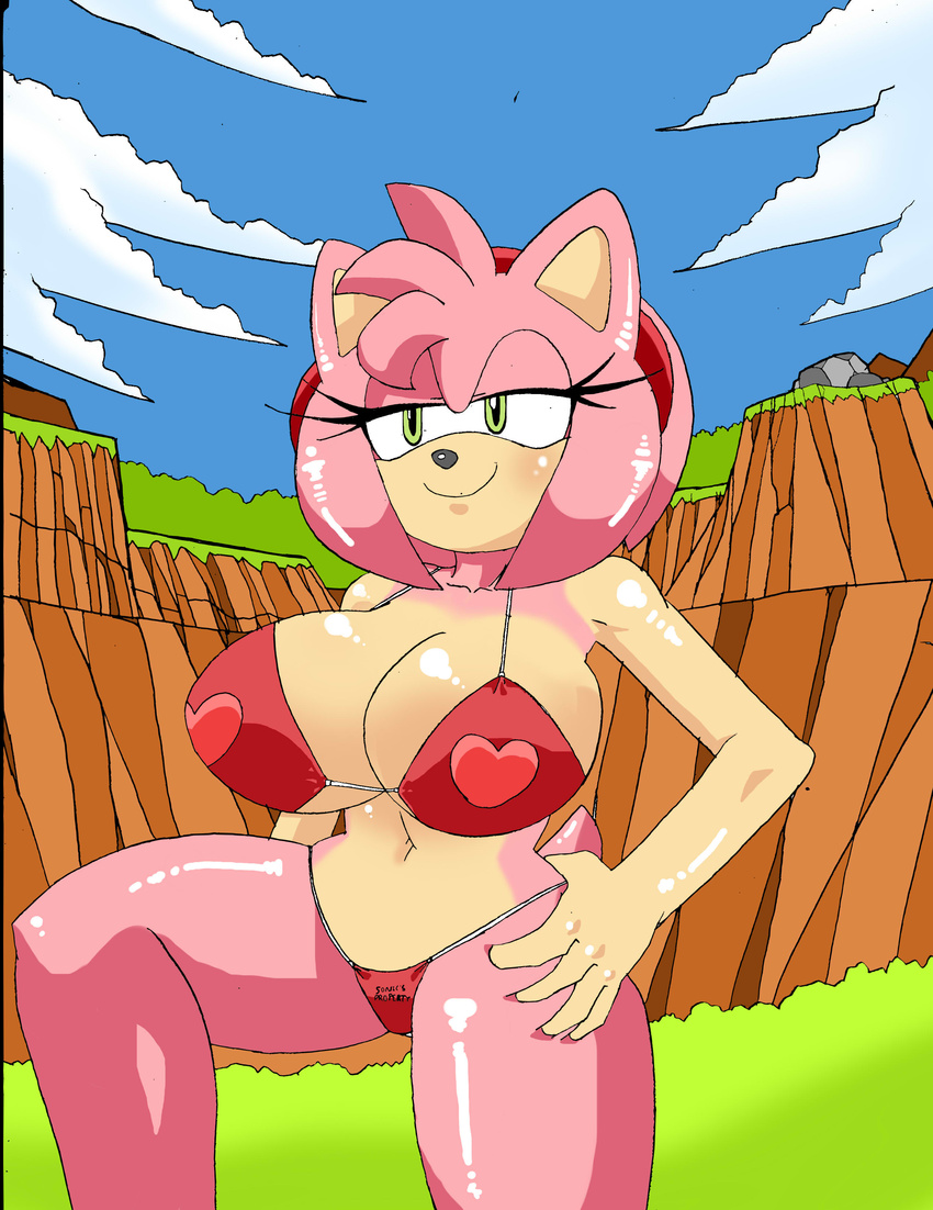 2015 amy_rose anthro big_breasts bikini breasts cleavage clothed clothing dreamcastzx female hedgehog mammal skimpy solo sonic_(series) swimsuit