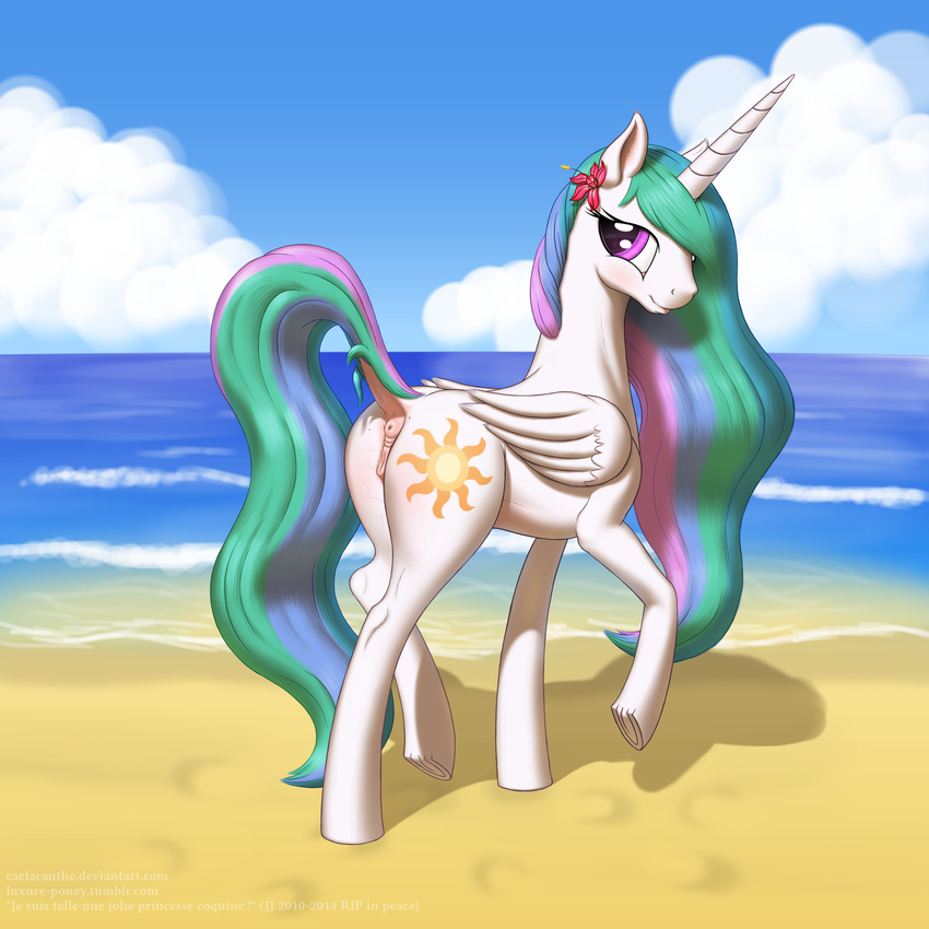 2015 absurd_res anatomically_correct anatomically_correct_pussy animal_genitalia anus beach butt caelacanthe cloud cutie_mark dock equine equine_pussy female feral flower friendship_is_magic hair hi_res horn long_hair looking_at_viewer mammal multicolored_hair my_little_pony outside plant princess_celestia_(mlp) pussy raised_leg seaside smile solo water winged_unicorn wings