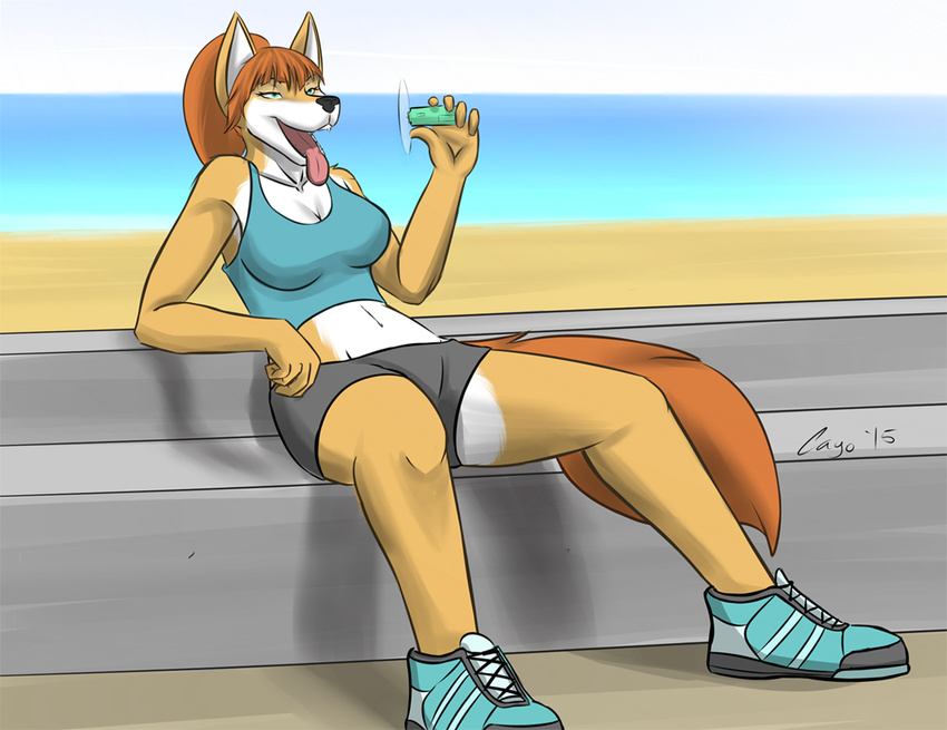 2015 5_fingers alice_(cayo) anthro black_nose canine cayo cleavage clothed clothing dog fan female footwear fur mammal midriff open_mouth ponytail reclining shirt shoes shorts sitting solo tan_fur teeth tongue tongue_out white_fur