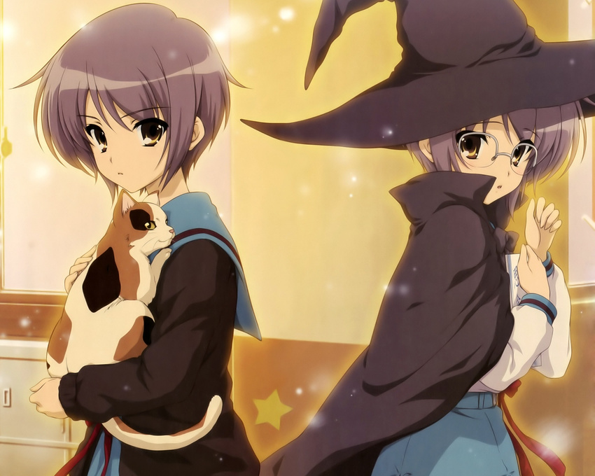 calico cape cardigan cat dual_persona glasses hat kita_high_school_uniform multiple_girls nagato_yuki school_uniform serafuku shamisen_(suzumiya_haruhi) suzumiya_haruhi_no_yuuutsu witch_hat