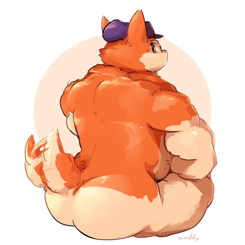 anthro brown_eyes butt canine chubby corgi dog hat looking_at_viewer looking_back male mammal musclegut nude presenting presenting_hindquarters sitting tailwag waddledox