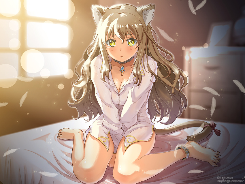 animal_ears ankleband anklet barefoot between_thighs breasts brown_hair cat_ears cat_tail cleavage collar dress_shirt feathers highres indoors jewelry kimura_shigetaka long_hair medium_breasts original ribbon shirt sitting solo tail tail_ribbon wariza yellow_eyes