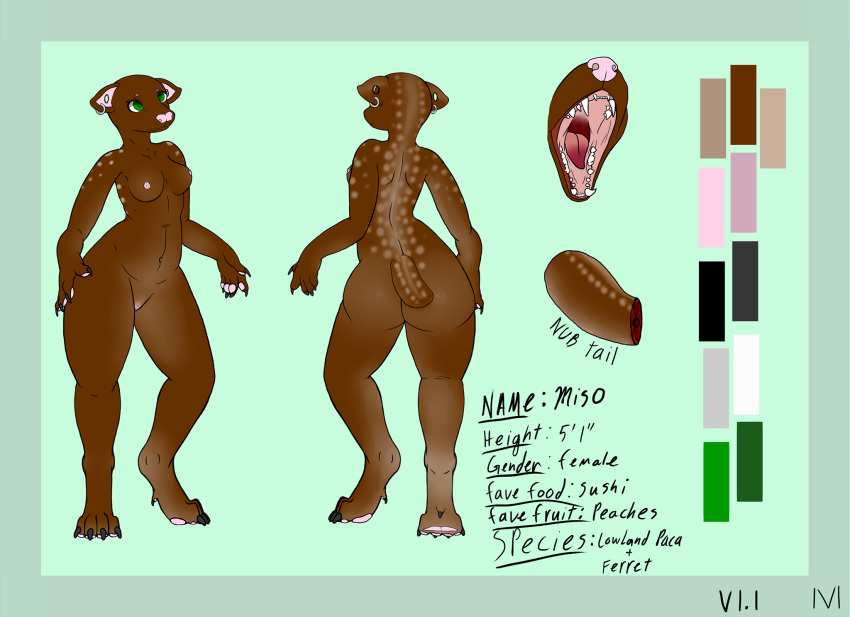 2018 4_toes 5_fingers anthro areola back_muscles belly big_butt big_thighs biped black_claws border breasts brown_body brown_spots brown_tail butt character_name claws close-up collarbone color_swatch cross_section dewclaw digital_drawing_(artwork) digital_media_(artwork) digitigrade disembodied_mouth disembodied_tail ear_piercing english_text eyelashes fangs female full-length_portrait gaping_mouth gauged_ear gender_symbol green_background green_eyes handpaw hi_res hindpaw hybrid lighting looking_up lowland_paca lvliso mammal measurements medium_breasts model_sheet multiple_poses mustelid nipples nude open_mouth paca pawpads paws piercing pink_areola pink_nipples pink_nose pink_pawpads pink_pussy pink_tongue portrait pose pussy red_tongue rodent shadow sharp_teeth short_tail side_boob simple_background small_waist smile snout solo species_name spots spotted_body spotted_tail standing symbol teeth text toe_claws toes tongue two_tone_tongue wide_hips ♀