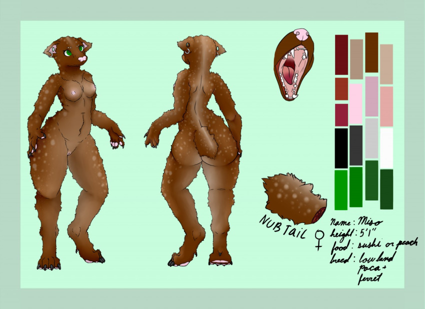 2018 4_toes 5_fingers anthro areola back_muscles belly big_butt big_thighs biped black_claws border breasts brown_fur brown_spots brown_tail butt character_name claws close-up collarbone color_swatch cross_section dewclaw digital_drawing_(artwork) digital_media_(artwork) digitigrade disembodied_mouth disembodied_tail ear_piercing english_text eyelashes fangs female fluffy fluffy_tail full-length_portrait fur gaping_mouth gauged_ear gender_symbol green_background green_eyes handpaw hindpaw hybrid lighting looking_up lowland_paca lvliso mammal measurements medium_breasts model_sheet multiple_poses mustelid nipples nude open_mouth paca pawpads paws piercing pink_areola pink_nipples pink_nose pink_pawpads pink_pussy pink_tongue portrait pose pussy red_tongue rodent shadow sharp_teeth short_tail side_boob simple_background small_waist smile snout solo species_name spots spotted_fur spotted_tail standing symbol teeth text toe_claws toes tongue two_tone_tongue wide_hips ♀