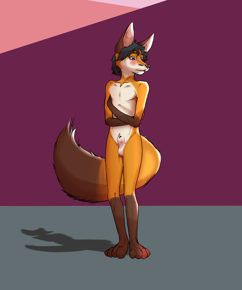 2015 anthro balls blush canine embarrassed fox greatredfoxwolf hair looking_away male mammal nude sheath shy skinny slim solo standing