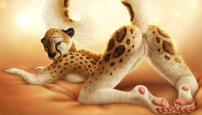 2015 anthro anus breasts butt cheetah feline female jocarra looking_at_viewer mammal mia_(hotwert) nude presenting presenting_hindquarters pussy solo spots