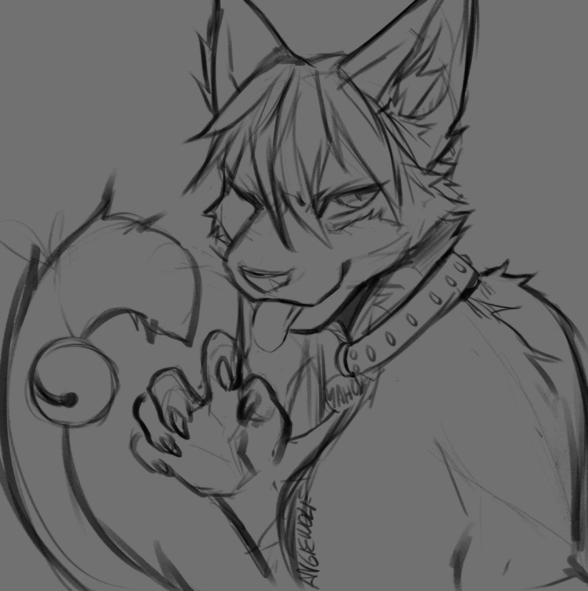 angiewolf bell cat collar feline maho-gato male mammal sketch