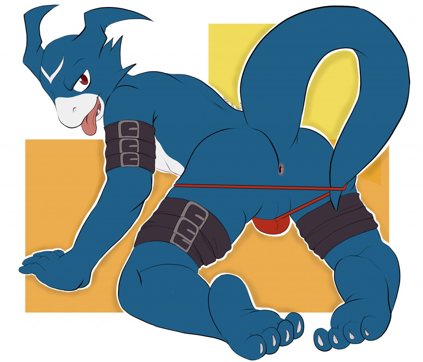 all_fours anthro anus barefoot barely_contained clothing digimon digital_media_(artwork) flamedramon flat_colors leather_straps looking_at_viewer looking_back male naughty_face perineum presenting presenting_anus raised_tail rear_view scalie signature simple_background solo stripes-the-raccoon thong toned tongue tongue_out underwear_pull vpl