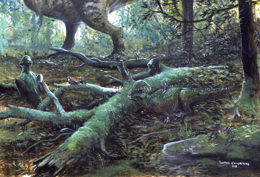 2018 amazing_background ambiguous_gender avian baby biped bird detailed_background dinosaur feral forest group hi_res larger_ambiguous lying pachycephalosaurid reptile scalie size_difference smaller_ambiguous sphaerotholus sphaerotholus_goodwini standing traditional_media_(artwork) tree tuomas_koivurinne young